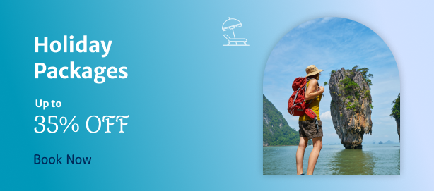 Domestic Flights Offer
